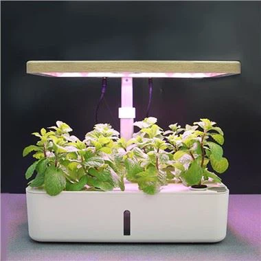 12-jardină Smart Garden With LED