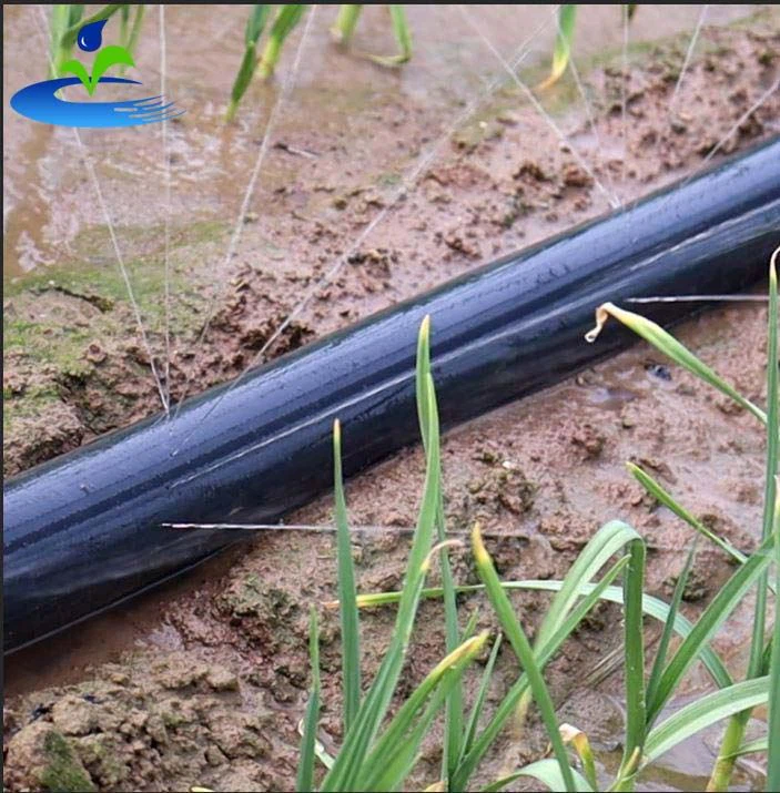 Furtun Sprinkler Cu Găuri