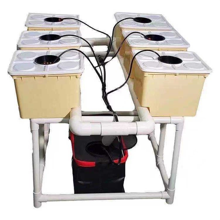 Dutch Bucket Plants Hydroponic Dutch Buckets Dutch Bucket Hydroponic System